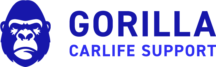 沖縄県那覇市でカーオーディオやドラレコ取り付けなら「ゴリラ」